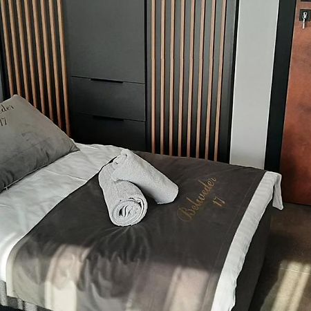 Belweder Loft Apartment Nysa Bagian luar foto
