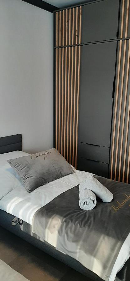 Belweder Loft Apartment Nysa Bagian luar foto